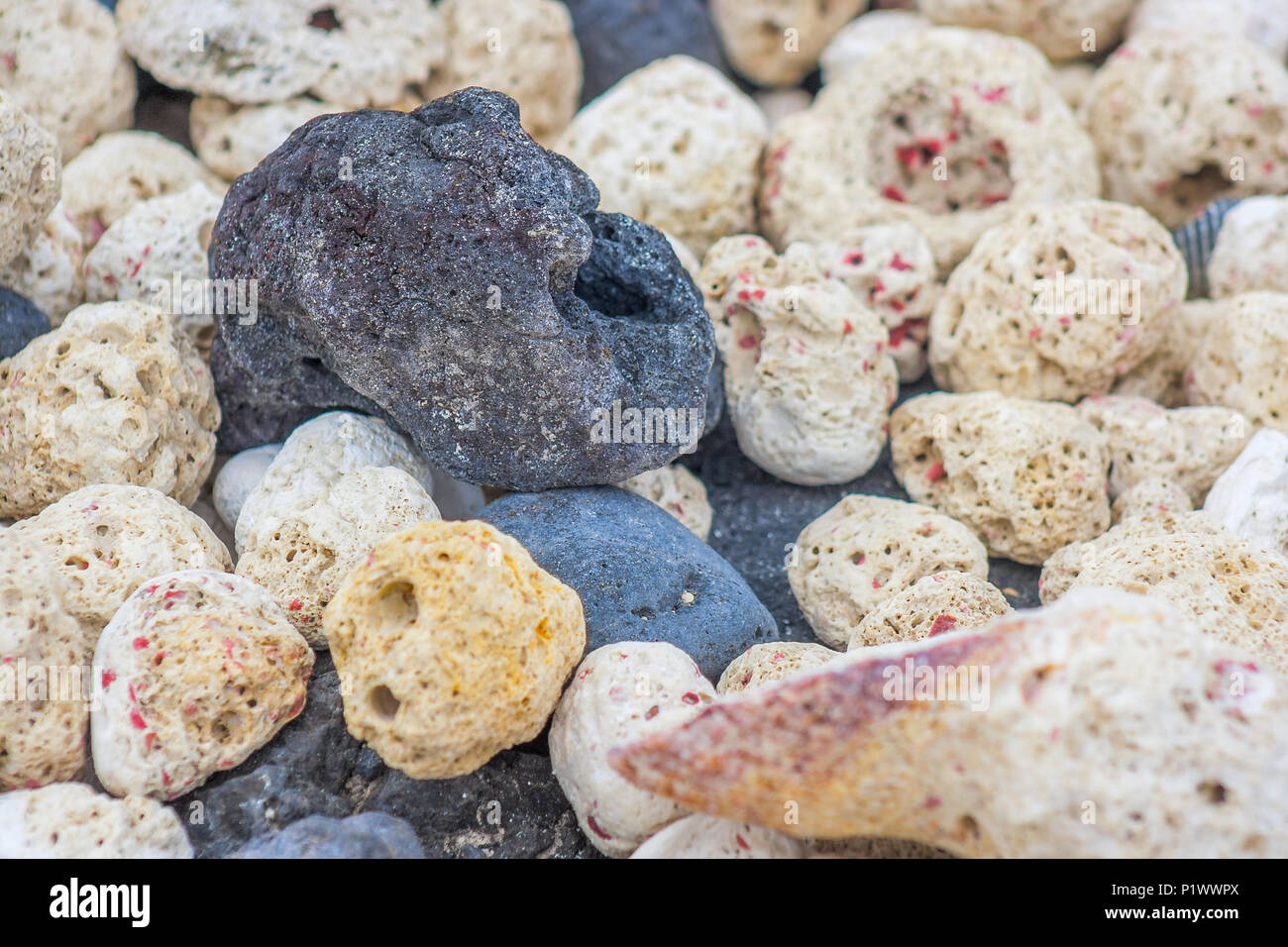 Eroded and warm pebbles found on the Ascension Island in the South Atlantic Ocean Stock Photo