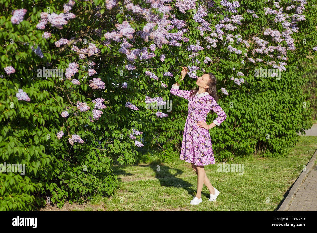 Young pretty woman in beautiful violet dress smelling a blooming lilac flowers Stock Photo