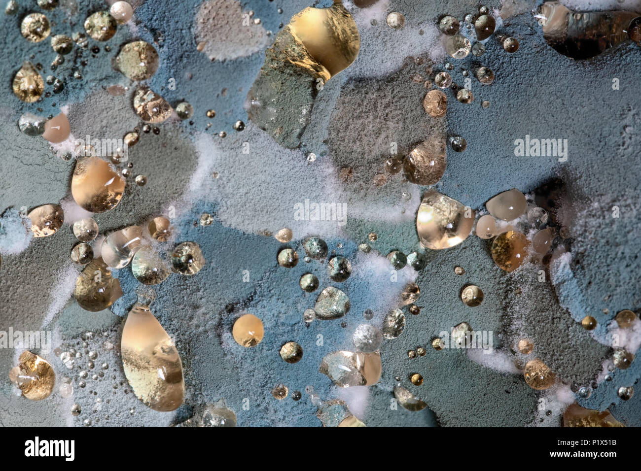 Assorted fungi, moulds aka molds. Organic decay macro. Actually rather beautiful. Stock Photo