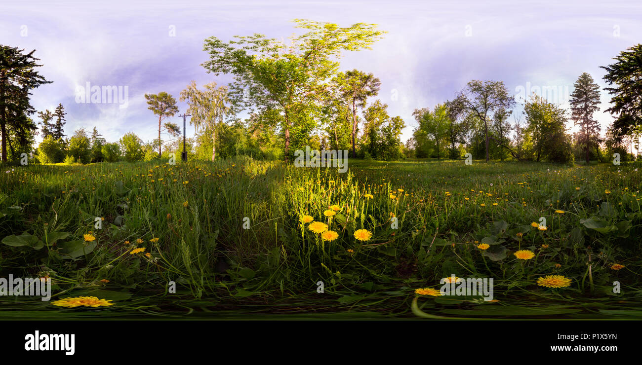360 vr green yellow forest hi-res stock photography and images - Alamy