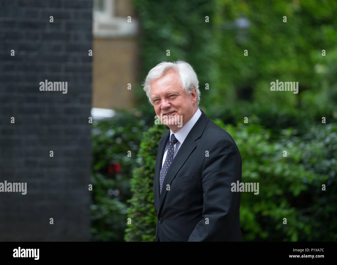 David Davis, Fomer Secretary for Exiting the European Union, at Downing street for a Cabinet meeting Stock Photo