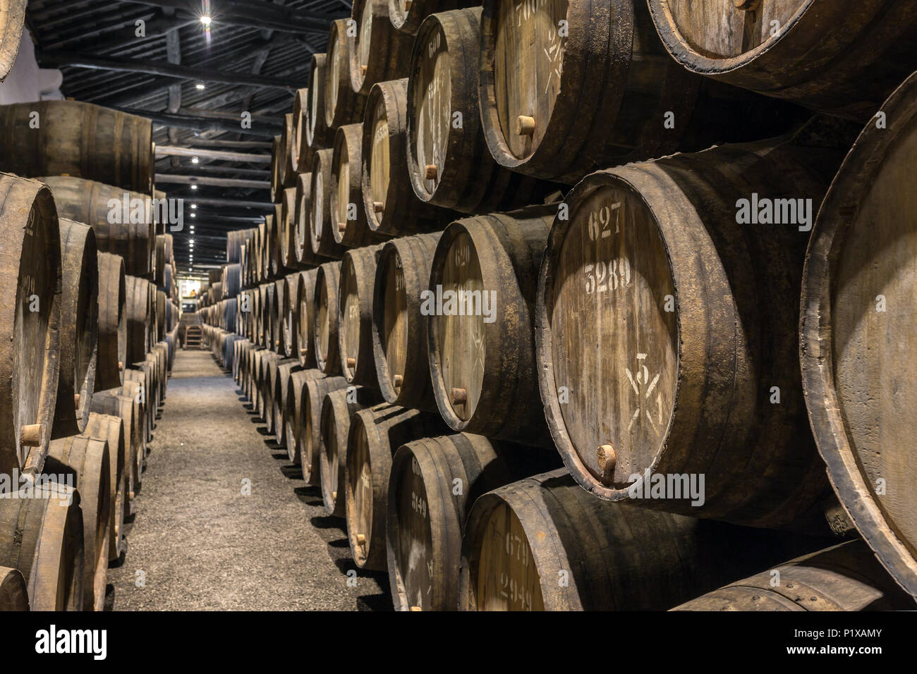 Row of wooden porto wine barrels in wine cellar Porto, Portugal Stock