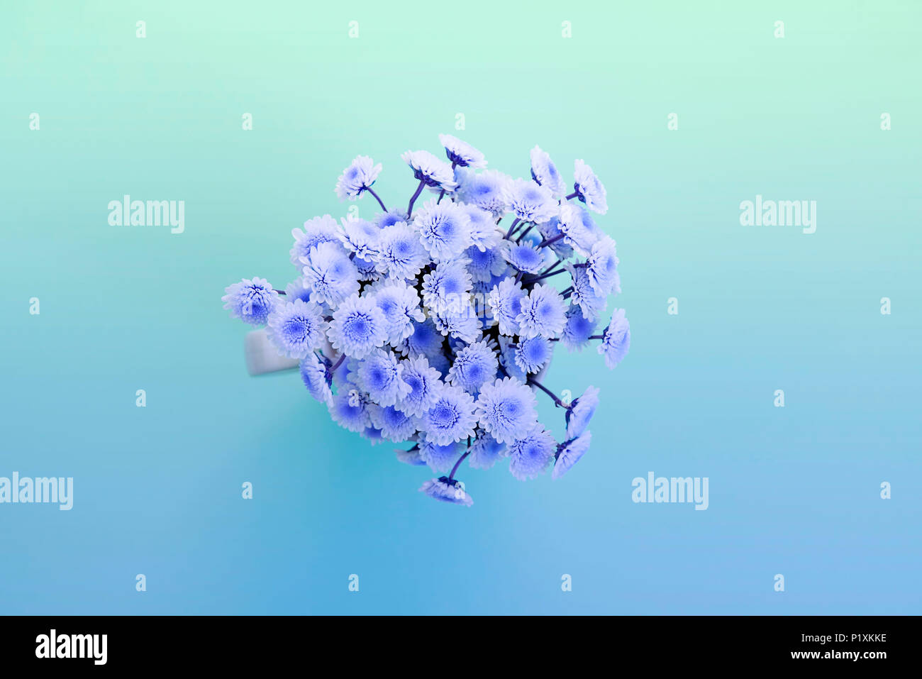 Banner Surrealism Bouquet of chrysanthemums on a purple background. Top view copy space flat lay Stock Photo