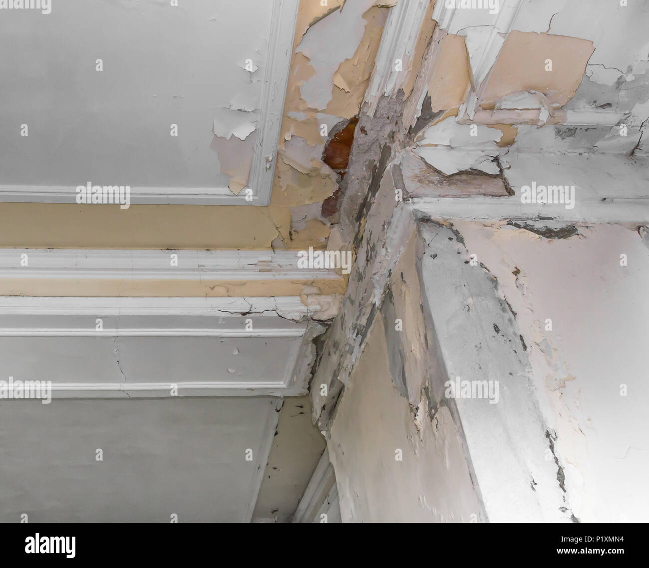 Peeling Paint On An Interior Ceiling A Result Of Humidity