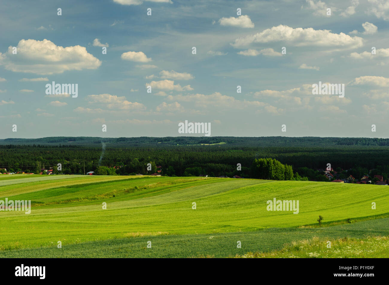 extensive areas of central Roztocze with fields and forests Stock Photo