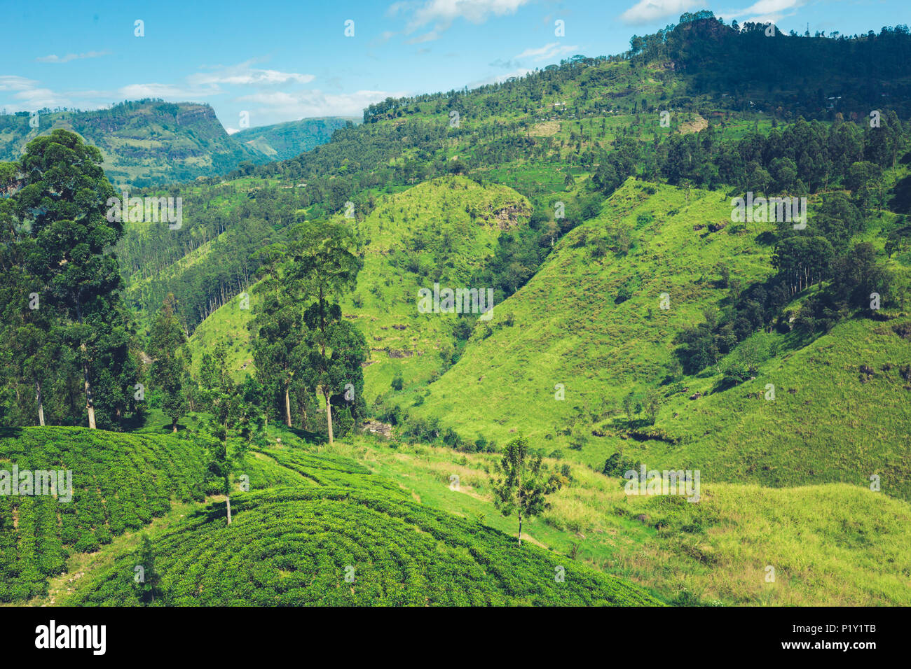 Beautifully landscape of Sri Lanka. beautiful blue sky and mountains in ...
