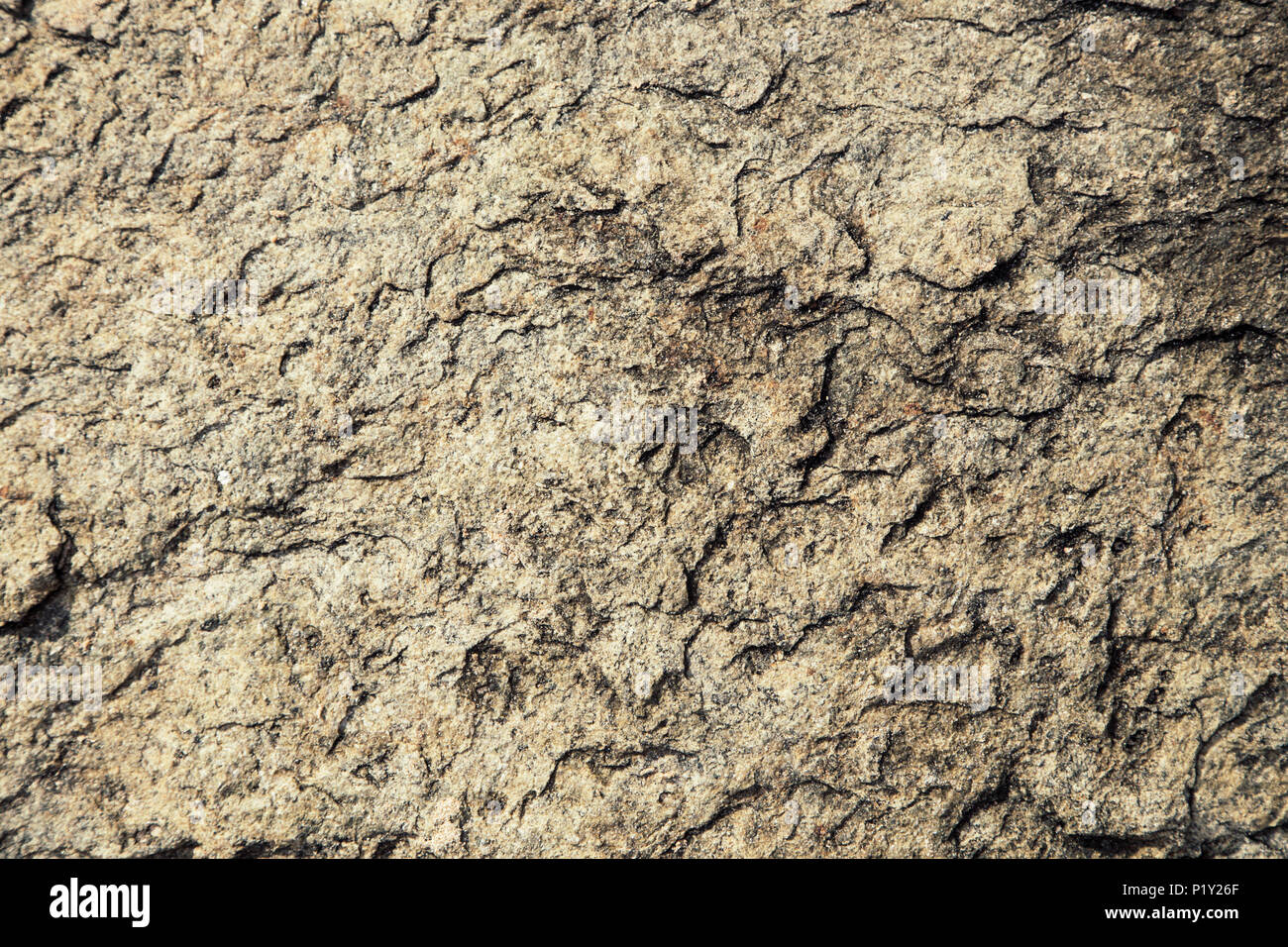 Rough stone background. Sandstone texture for background Stock Photo