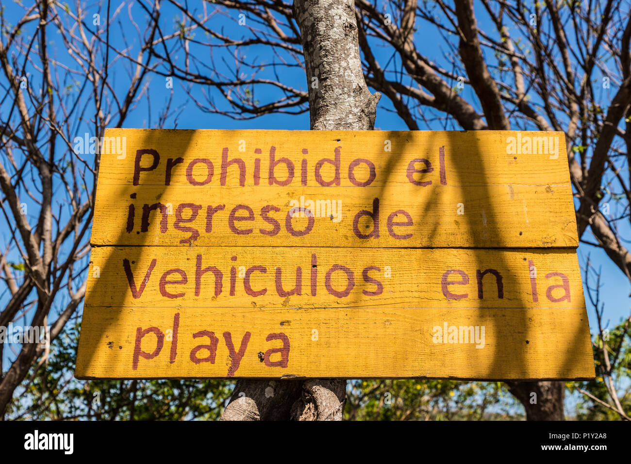 Ometepe Volcanic island Stock Photo