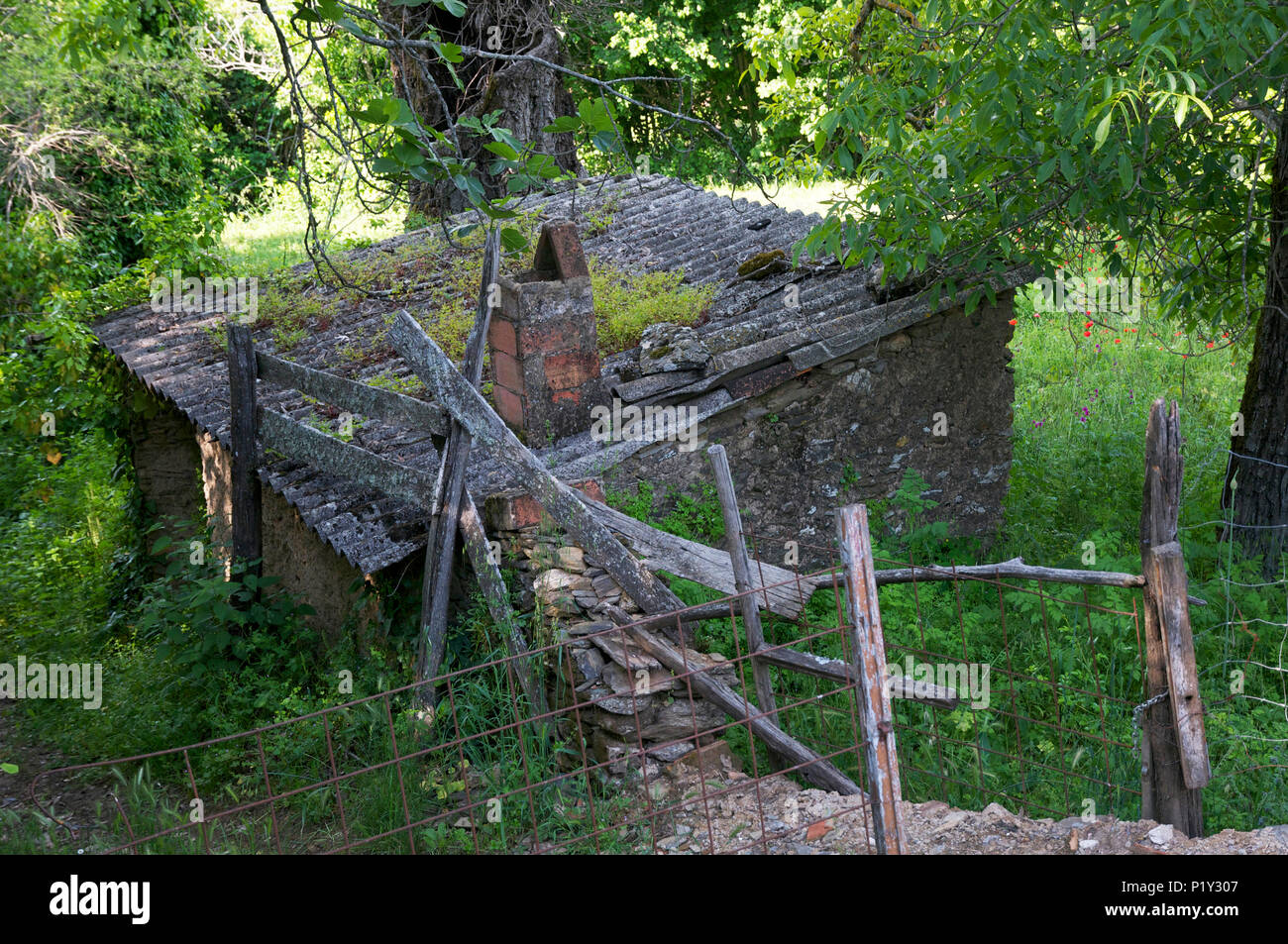 Dilapidated hut in field Stock Photo