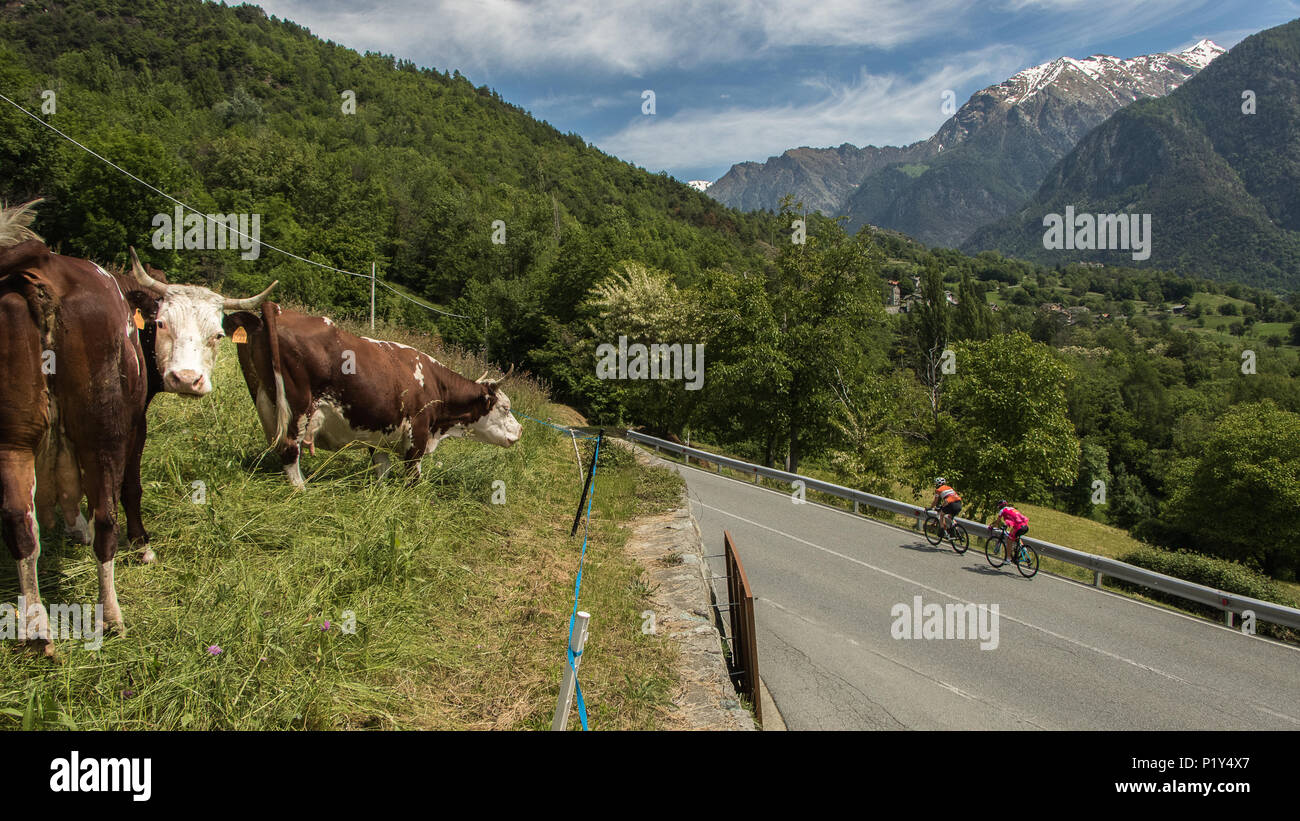 Cycling Valle d'Aosta Valley of Italy Stock Photo