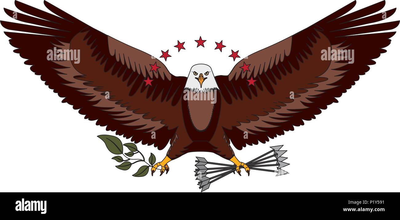 american bald eagle emblem with arrows and olive branch vector