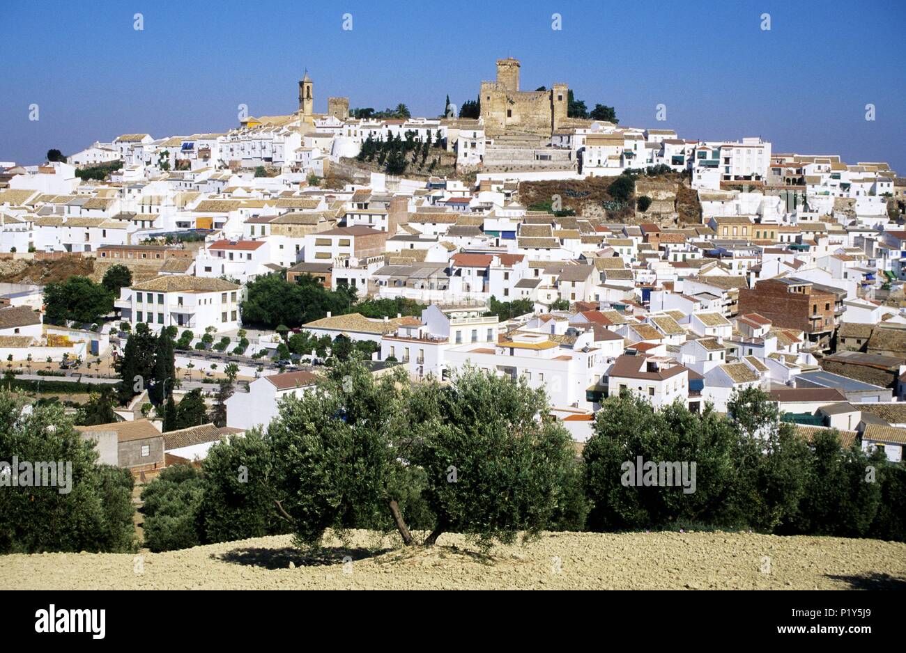 Espejo, town and castle. Stock Photo