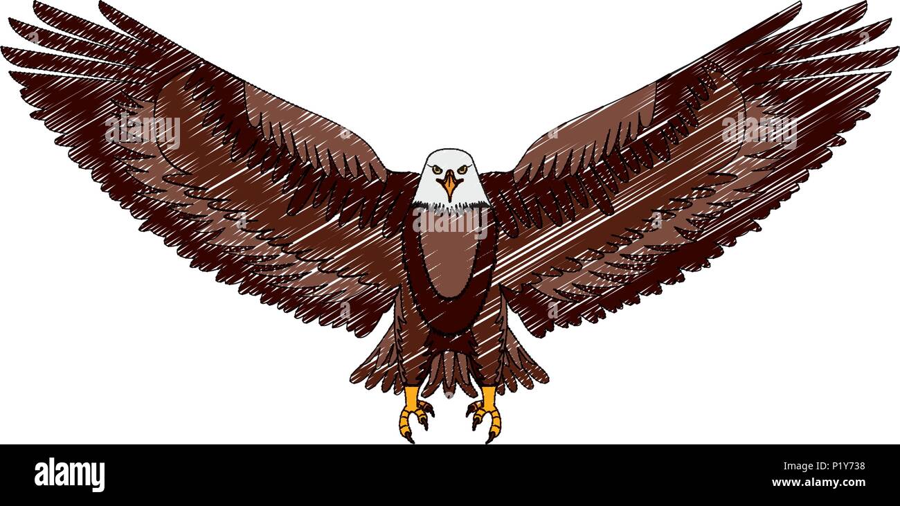 american eagle open wings bird vector illustration drawing Stock Vector