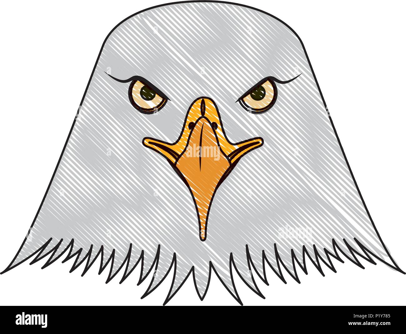 head bald eagle symbol native american vector illustration drawing Stock  Vector Image & Art - Alamy