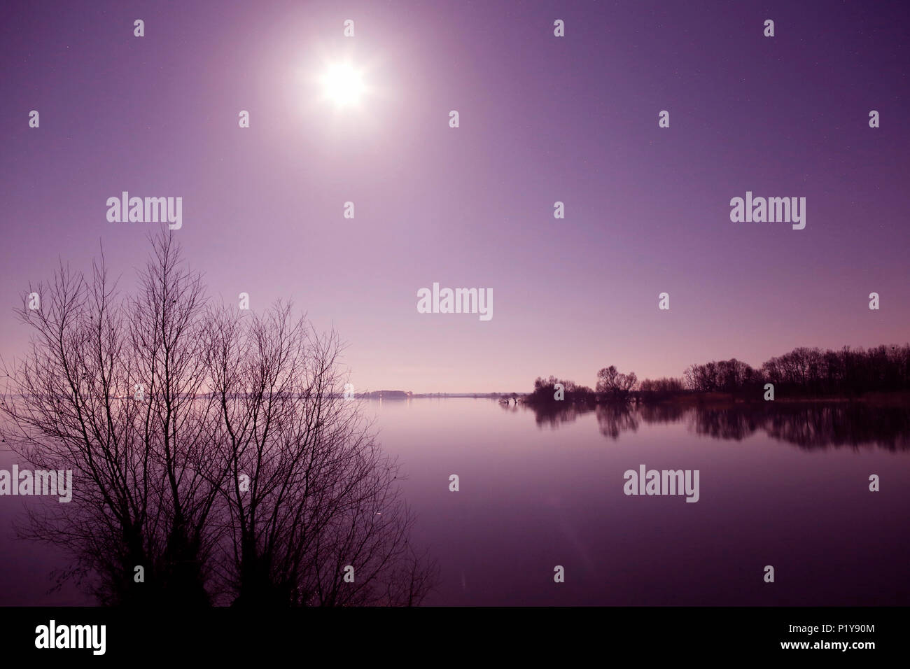 The Marne. Haute-Marne. Lake of DER in winter. Site of Chantecoq of night. The Moon shines with the top of the lake. Stock Photo