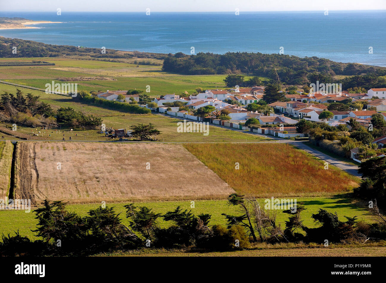 France, West coast of France, Isle of Rhe, fields and residential area