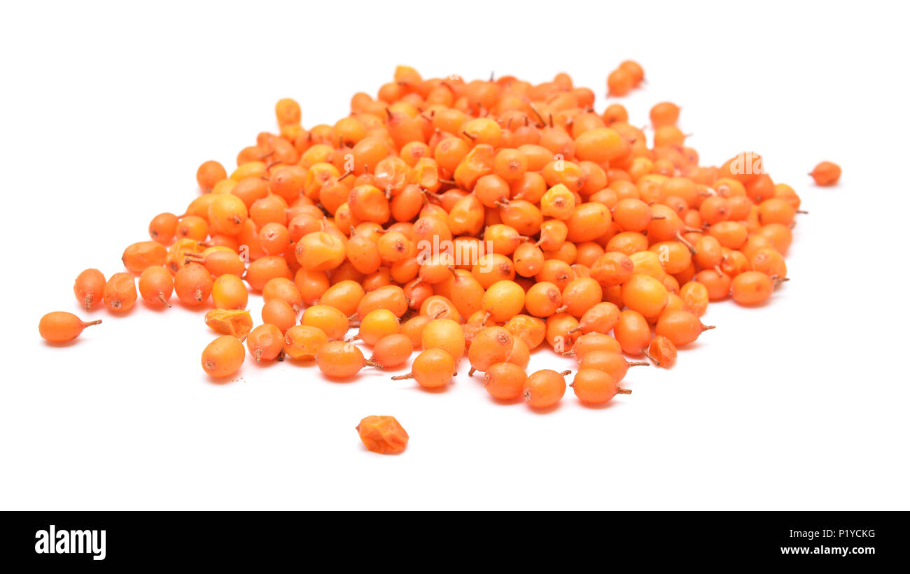 seabuckthorn berries isolated on white Stock Photo