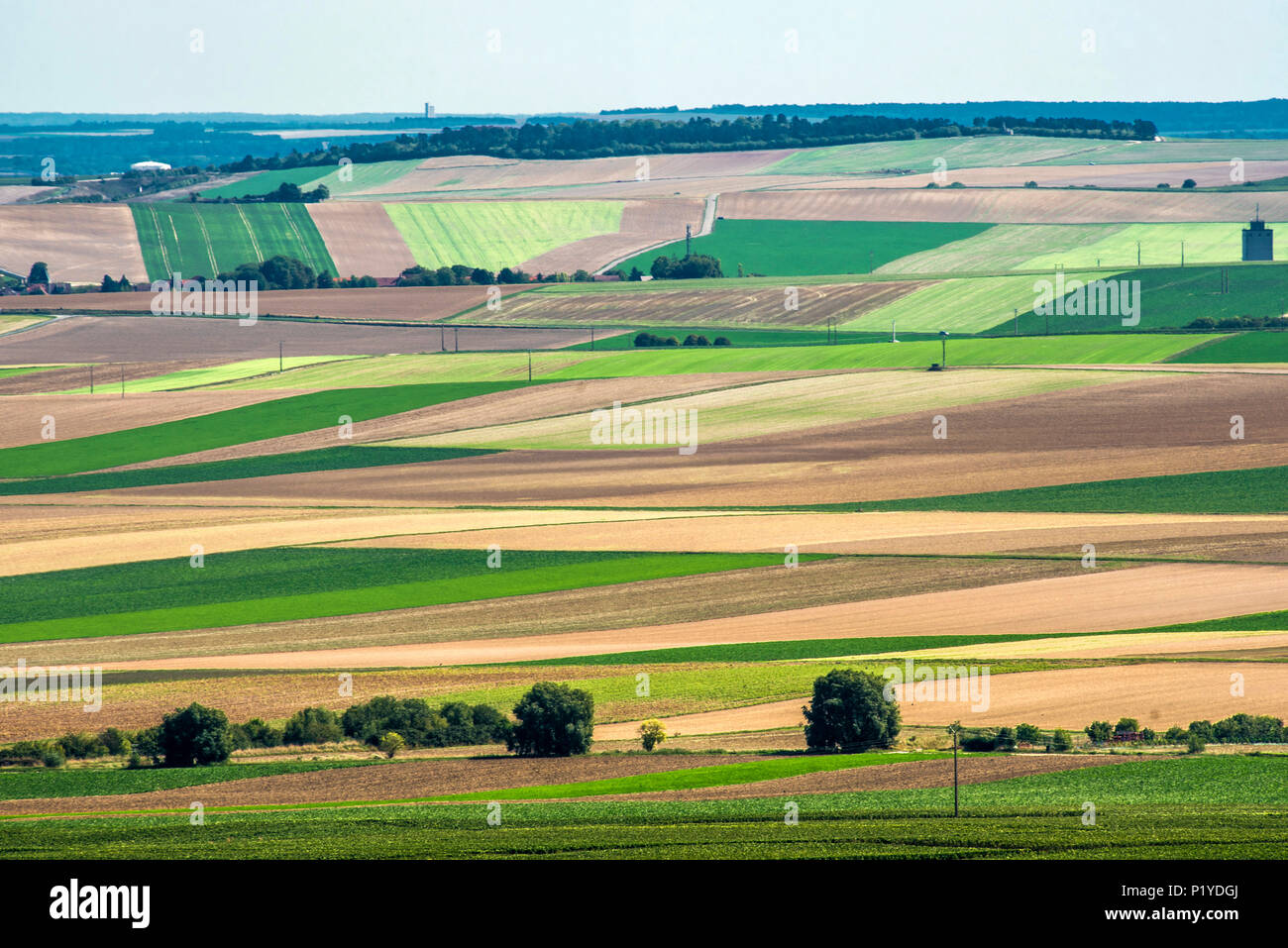 France, Grand Est, Marne, agricultural lands in the south of Reims