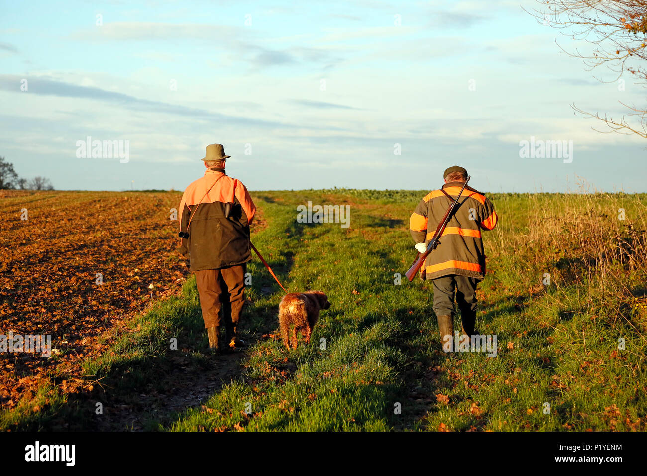 Department of Aisne. Big game hunting season (autumn). Hunters walking to the monitoring site. Stock Photo