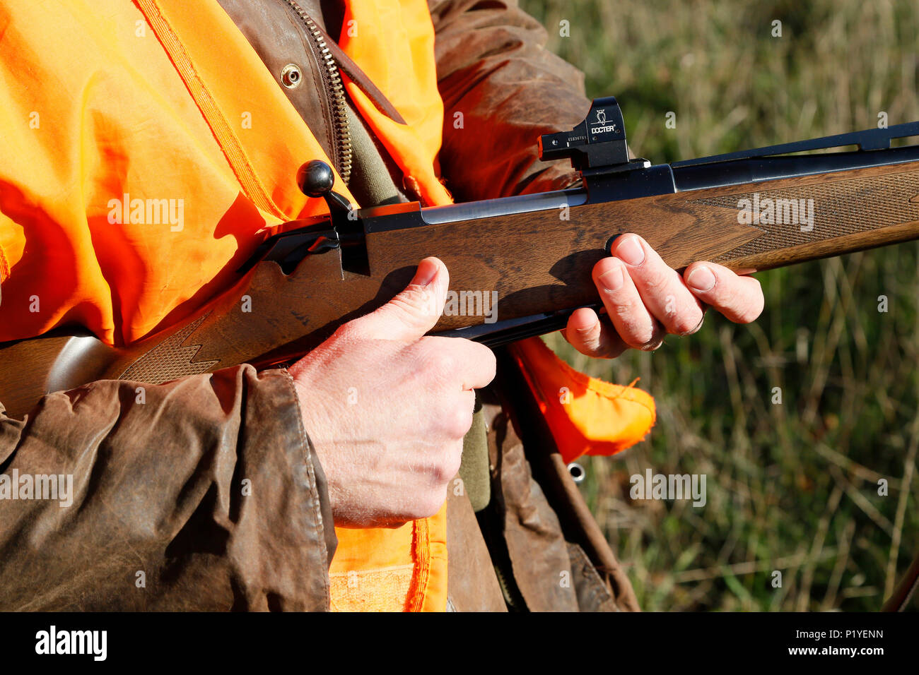 Department of Aisne. Big game hunting season (autumn). Hunter holding a rifle in his hands. Stock Photo