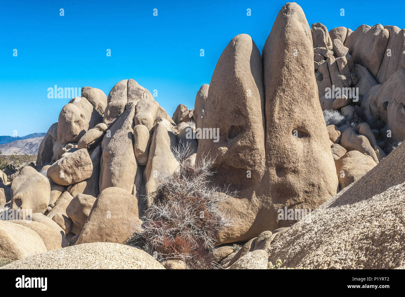 Death Valley California Skull High Resolution Stock Photography and ...
