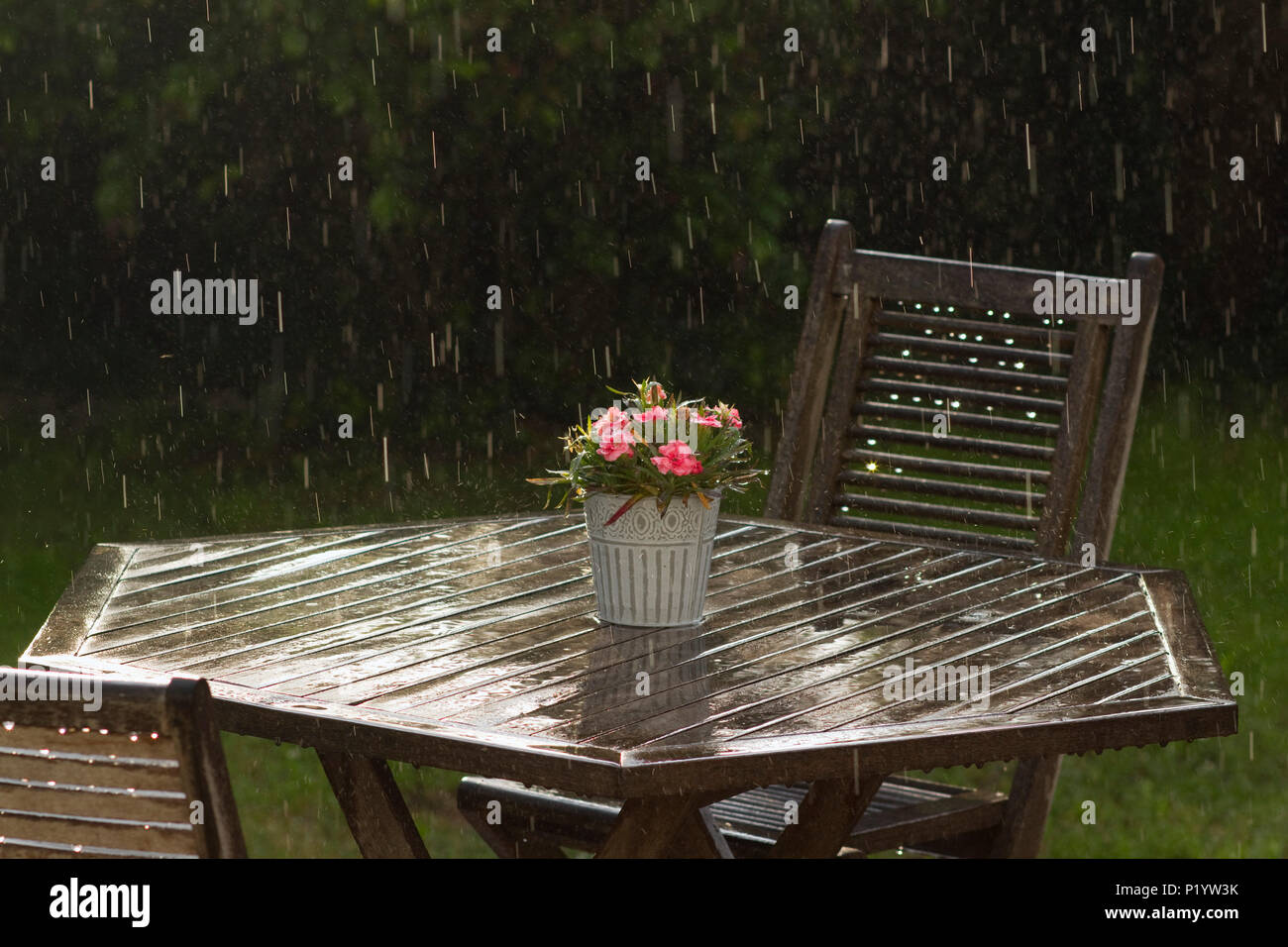 A garden under a shower of rain Stock Photo Alamy