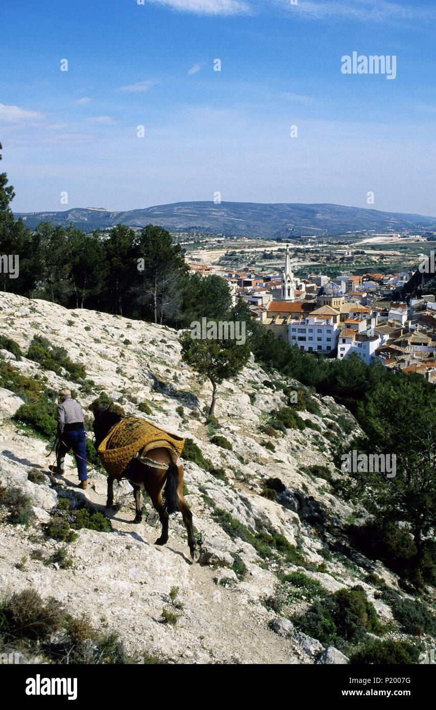 Moixent - Mogente; farmer, donkey and town view. Stock Photo