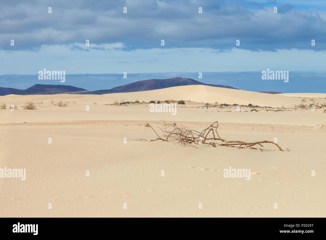 Desert background landscape. Corralejo dunes with volcanic mountains in the horizon. Fuerteventura, Canary islands, Spain. Stock Photo