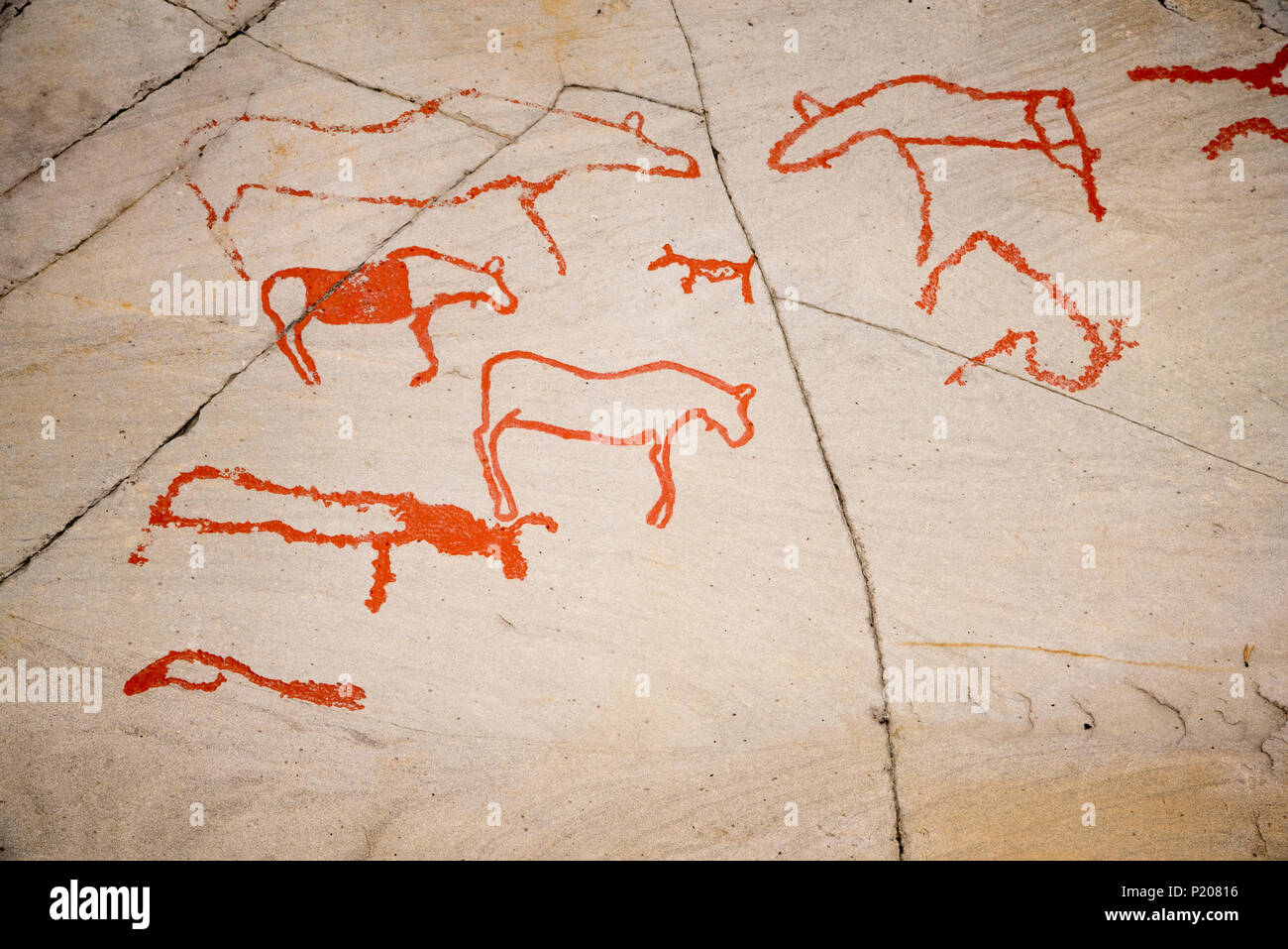 More than 7000 years ago stoneage fishermen and Reindeer herders made rock carvings around World heritage site Alta in Fimnmark province in Norway. Stock Photo