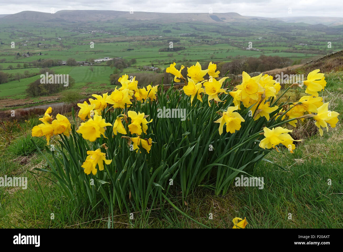 Longridge hires stock photography and images Alamy