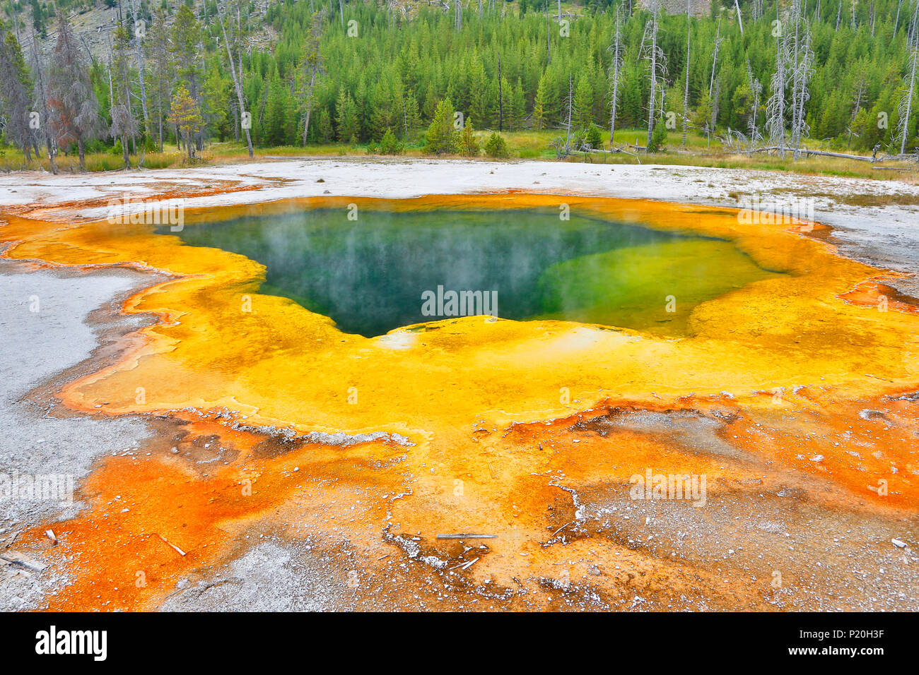 USA. Wyoming. Yellowstone Park. Black Sand Basin. Emerald pool. Stock Photo