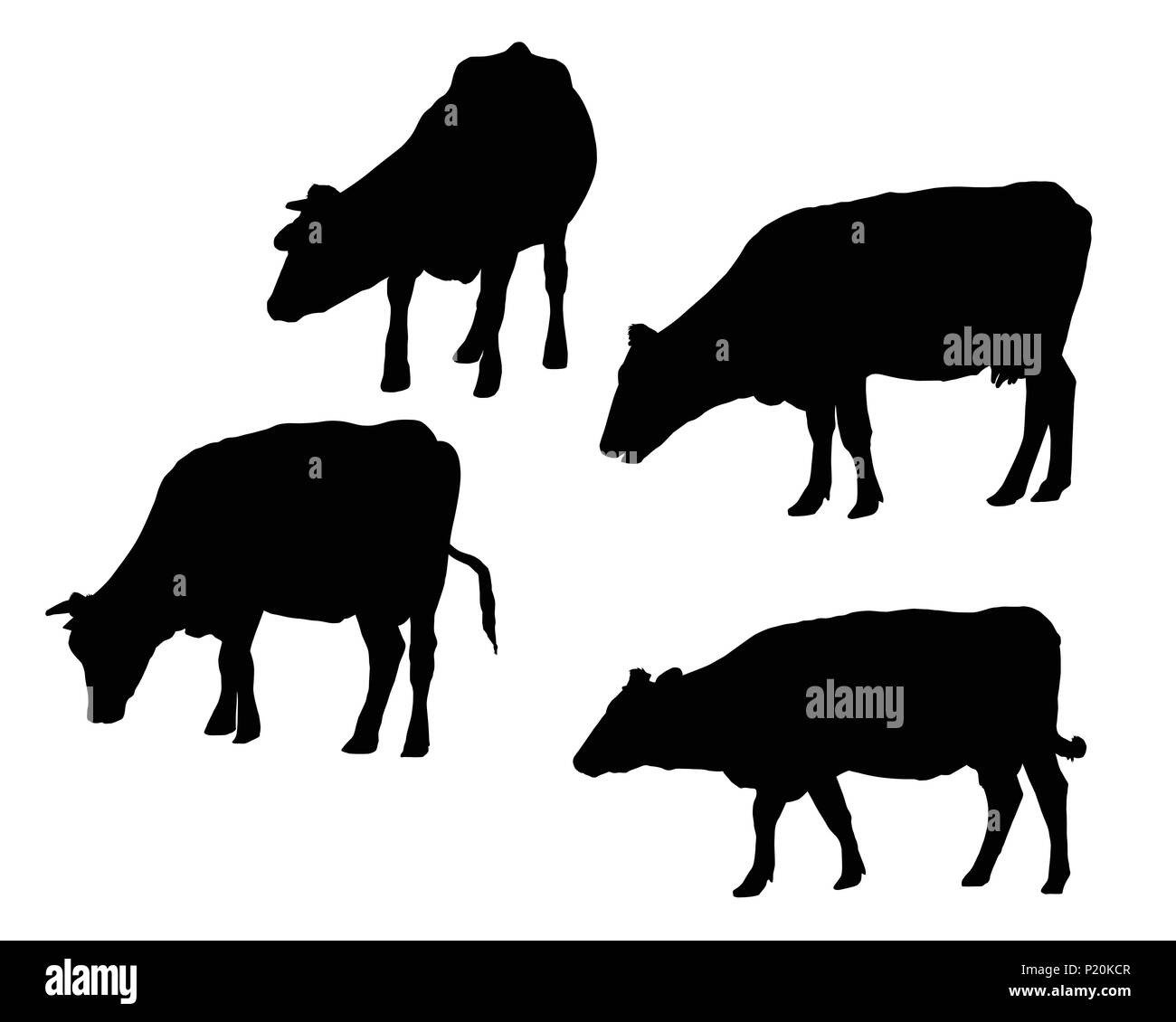 Set of realistic silhouettes of cow, isolated on white background - vector Stock Vector