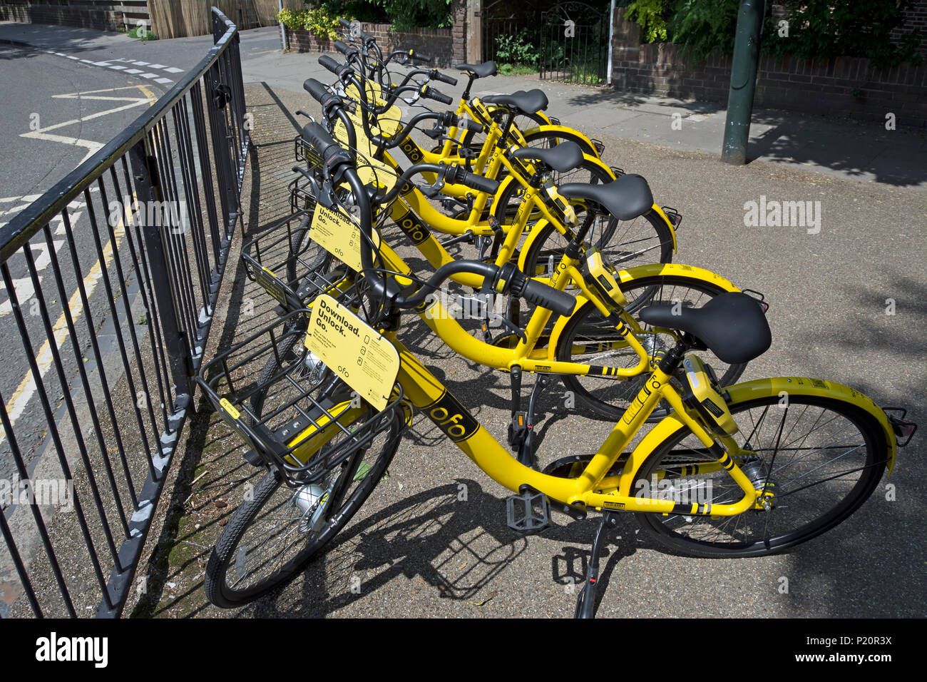 dockless ofo bikes parked in twickenham, middlesex, england Stock Photo