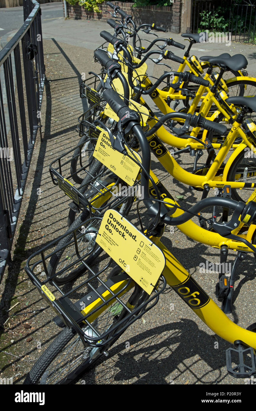 dockless ofo bikes parked in twickenham, middlesex, england Stock Photo