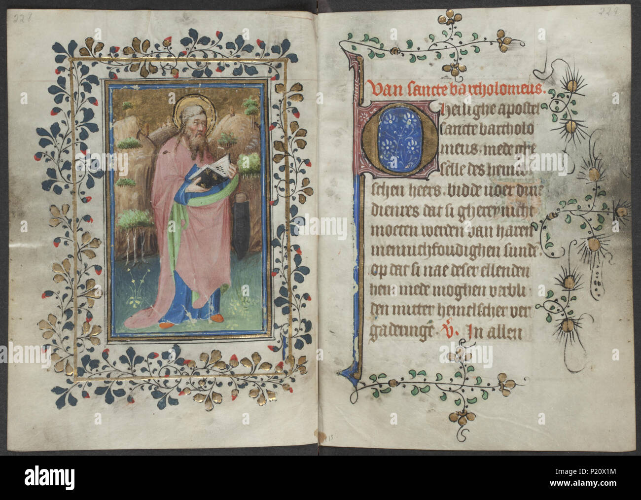 . Book of hours by the Master of Zweder van Culemborg - KB 79 K 2 - folios 114v (left) and 115r (right) .  Lefthand side folio 114v and righthand side folio 115r from the Book of hours by the Master(s) of Zweder van Culemborg Illuminations on the left folio 114v The full-page miniature shows St. Bartholomew holding a book The apostle bartholomew; possible attributes: book, devil or dragon at feet, knife, scroll, flayed skin, staff (11H(BARTHOLOMEW)) Codex - ll - codex open (49LL72)  . between circa 1430 and circa 1435 33 Book of hours by the Master of Zweder van Culemborg - KB 79 K 2 - folios  Stock Photo