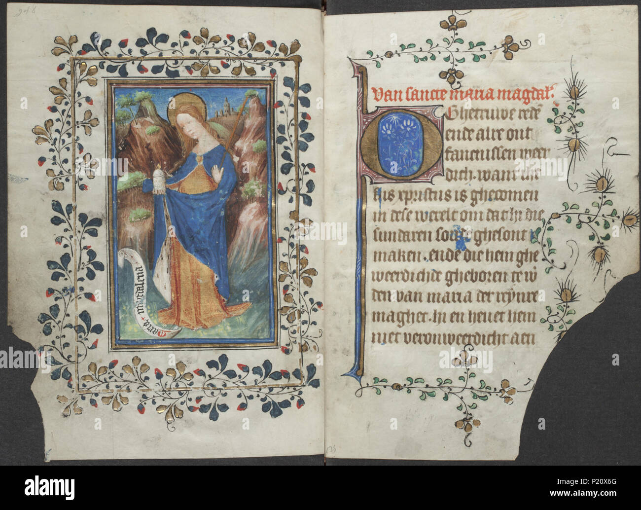 . Book of hours by the Master of Zweder van Culemborg - KB 79 K 2 - folios 124v (left) and 125r (right) .  Lefthand side folio 124v and righthand side folio 125r from the Book of hours by the Master(s) of Zweder van Culemborg Illuminations on the left folio 124v The full-page miniature shows St. Mary Magdalene holding a palm and a jar of ointment The penitent harlot mary magdalene; possible attributes: book (or scroll), crown, crown of thorns, crucifix, jar of ointment, mirror, musical instrument, palm-branch, rosary, scourge (MAGDALENE) 11HH(MARY MAGDALENE)) Trees: palm-tree (+ branch, stick) Stock Photo