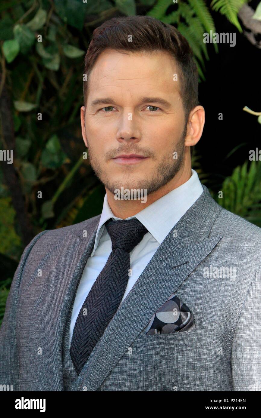 Los Angeles, CA, USA. 12th June, 2018. Chris Pratt at arrivals for JURASSIC WORLD: FALLEN KINGDOM Premiere, Walt Disney Concert Hall, Los Angeles, CA June 12, 2018. Credit: Priscilla Grant/Everett Collection/Alamy Live News Stock Photo