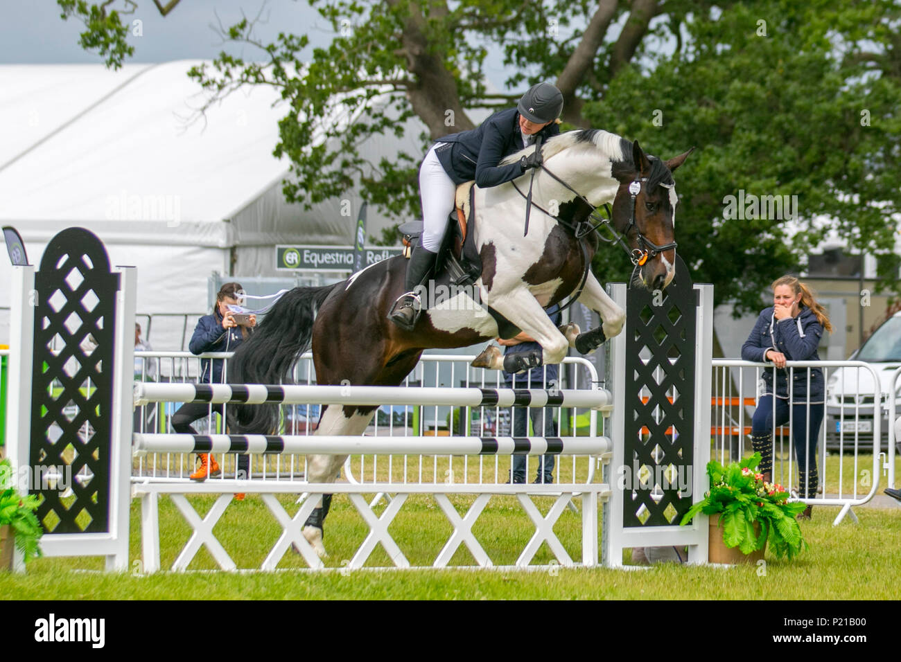 Show jumping arena uk hires stock photography and images Alamy