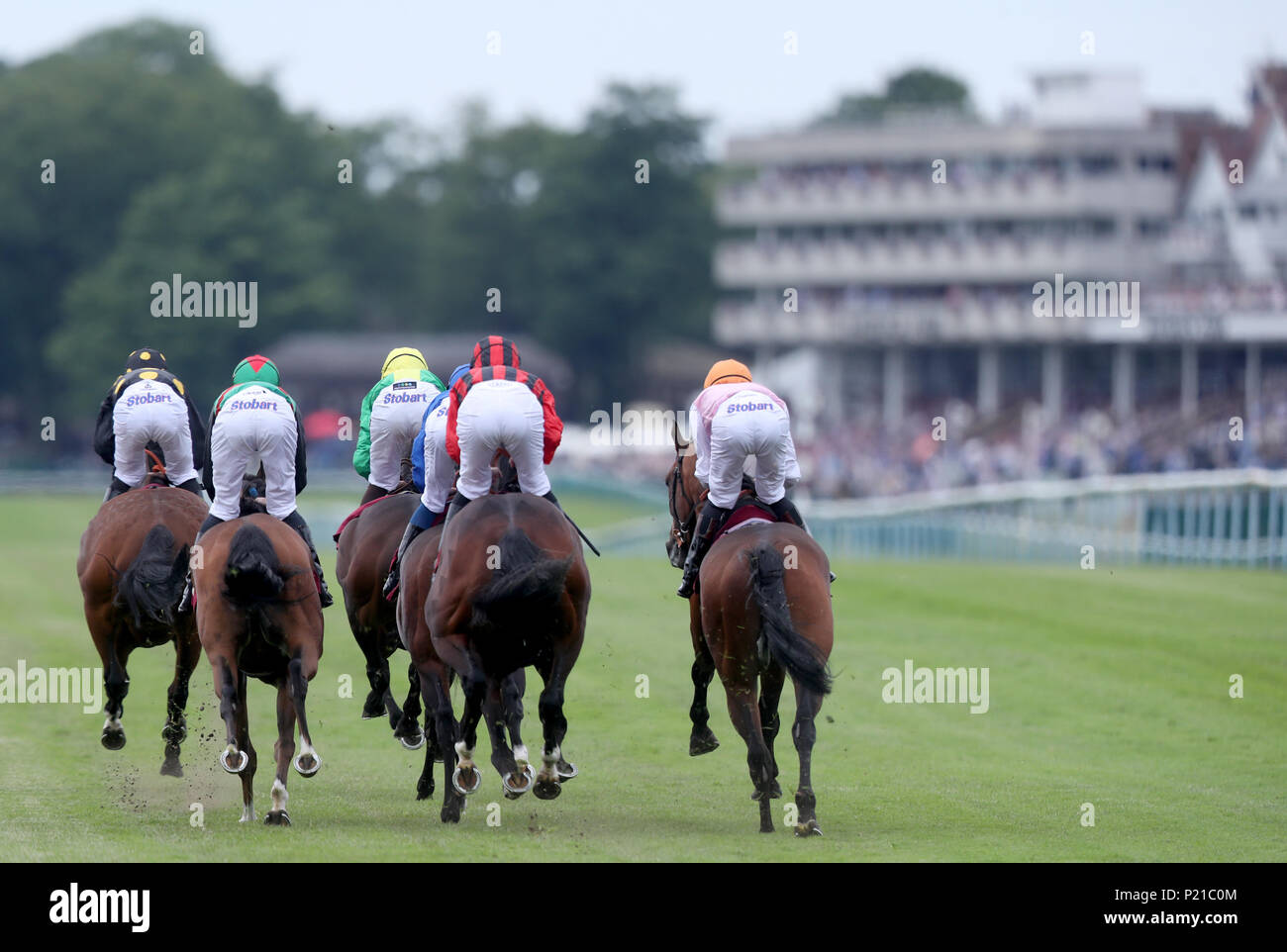 The field head down the home straight during The 188Bet World Cup Money Back Specials 'Confined' Novice Stakes at Haydock Park Racecourse. PRESS ASSOCIATION Photo. Picture date: Wednesday June 13, 2018. See PA story RACING Haydock. Photo credit should read: Simon Cooper/PA Wire Stock Photo