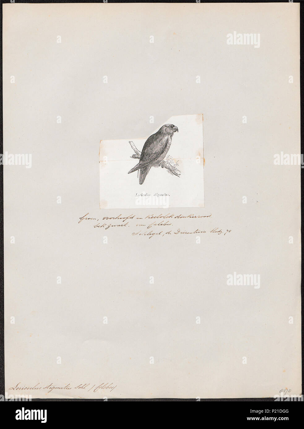 1872 catalogs hi-res stock photography and images - Alamy