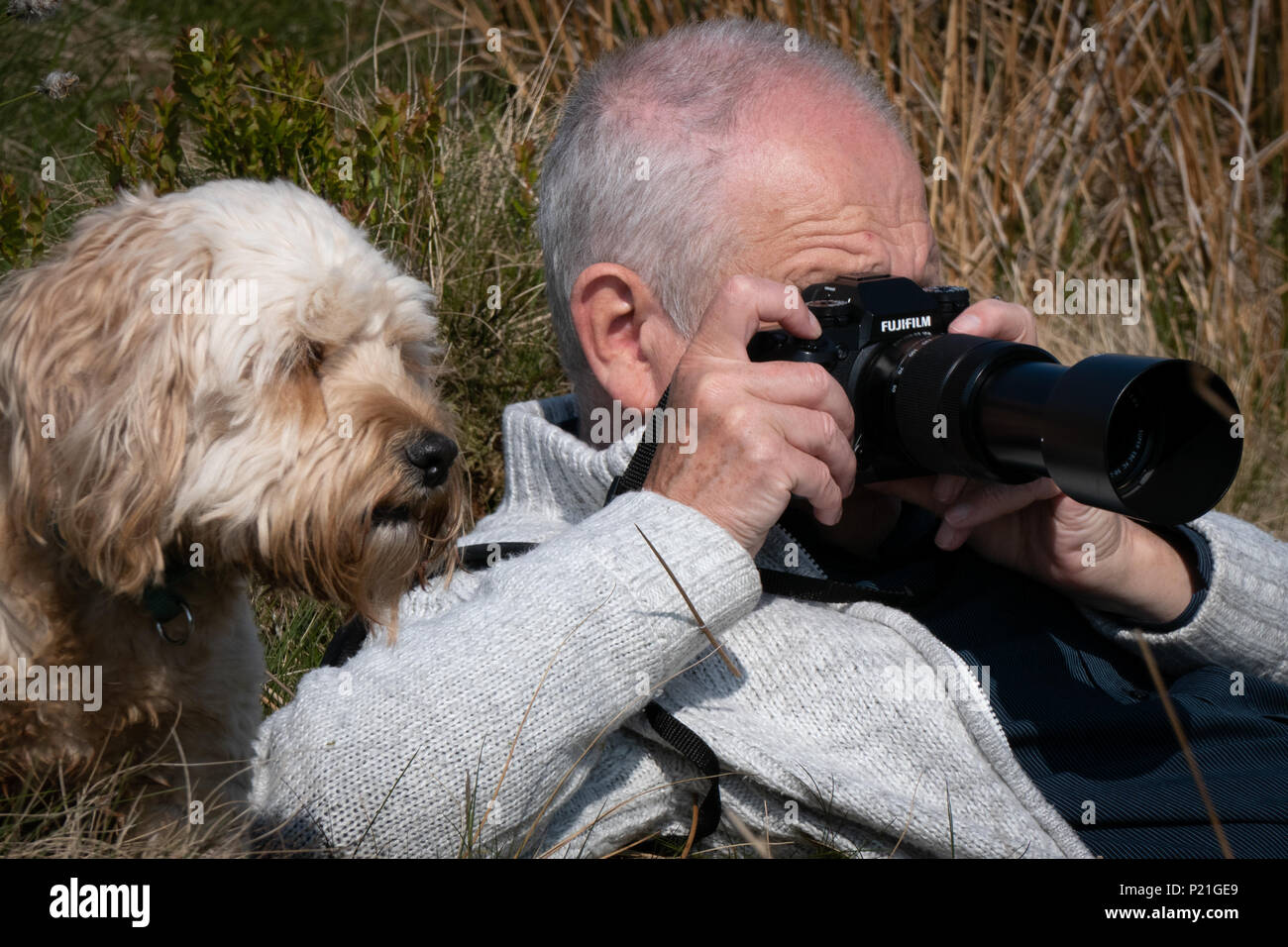 Pusle Using His Camera Man using telephoto lens hi-res stock photography and images - Alamy