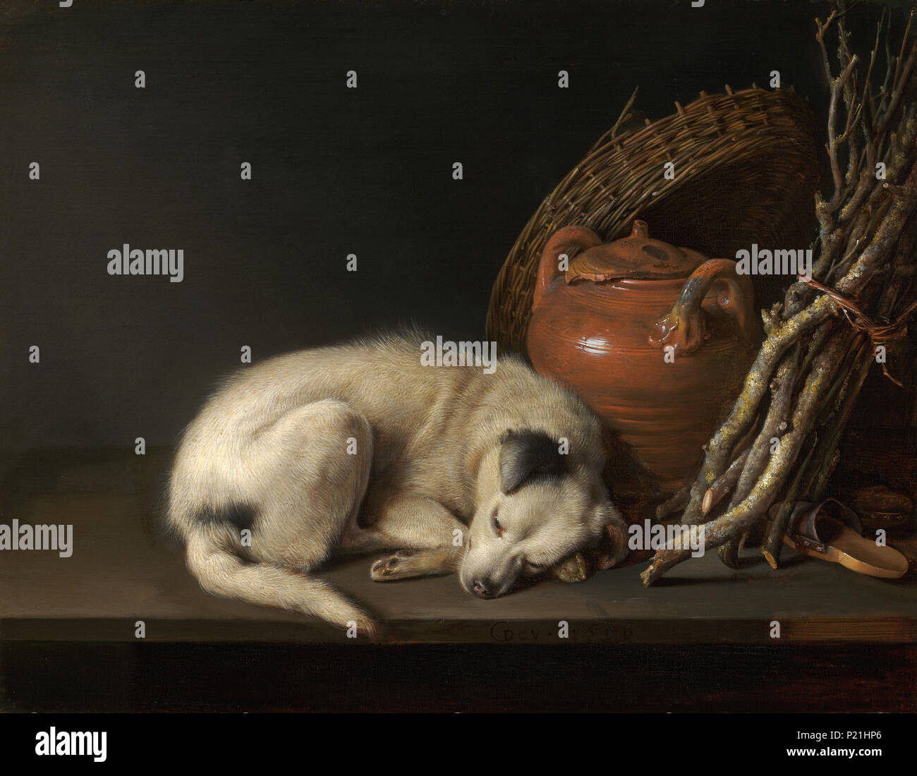 Sleeping Dog . 1650 Dog at Rest Gerrit Dou (Dutch, 1613–1675) 1650 Oil on  panel *