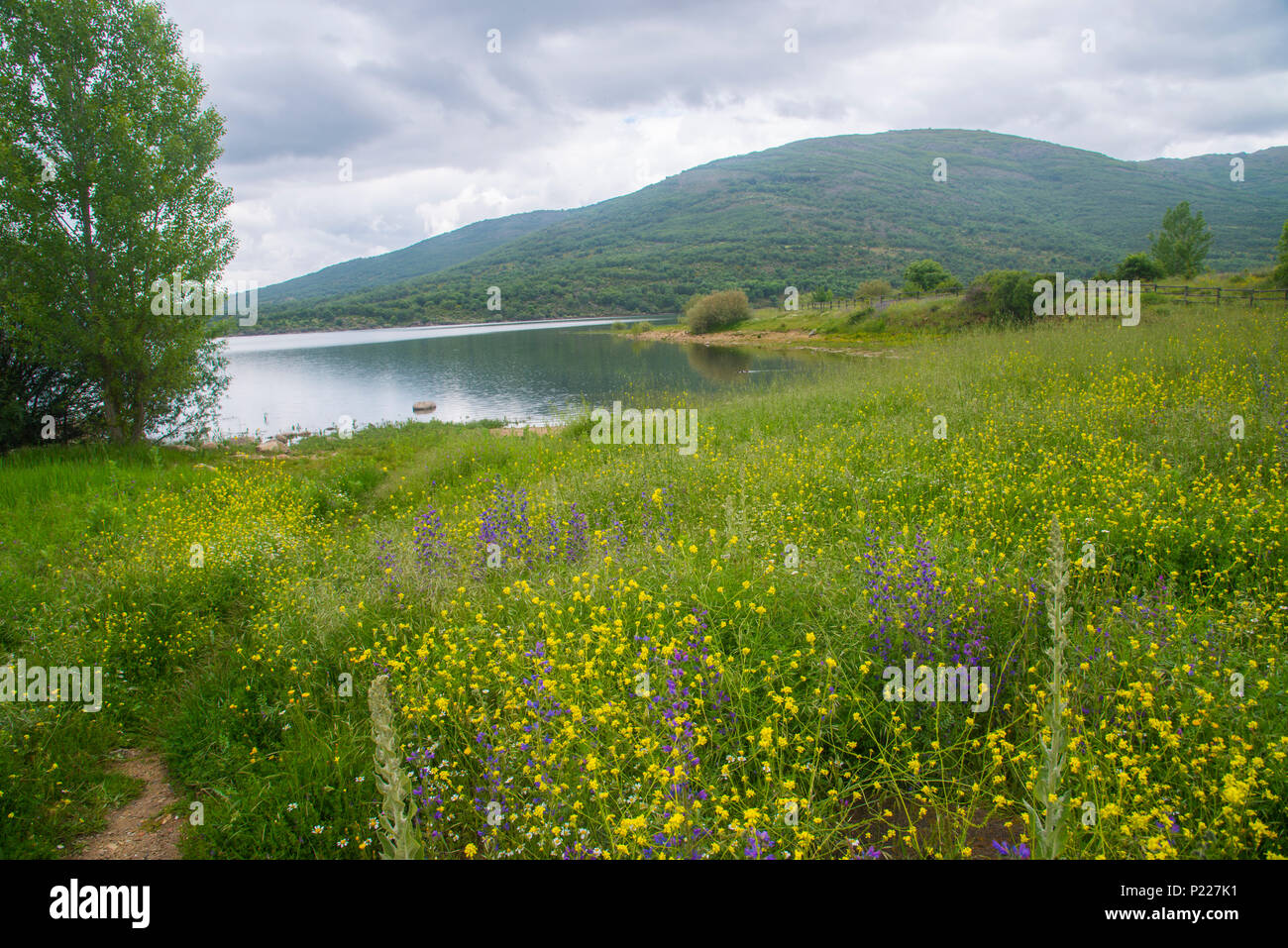 Pinilla reservoir. Sierra de Guadarrama National Park, Madrid province, Spain. Stock Photo