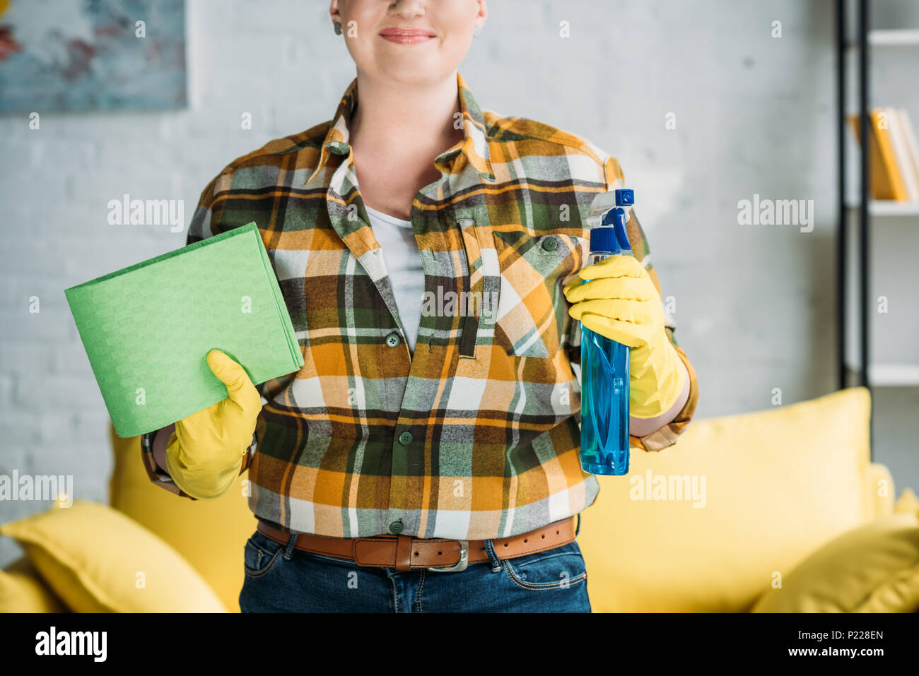 cropped image of woman holding rag and spray bottle for cleaning at ...