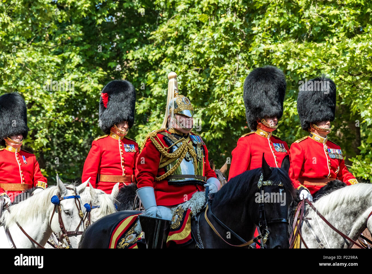 Field Marshal Lord Guthrie riding along the Mall at Trooping  The Colour also known as The Queens Birthday Parade,London, UK 2018 Stock Photo