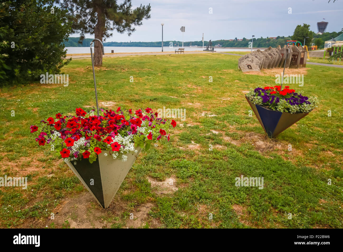 A view of flowers in umbrellas used as pots in a park on the coast of river Danube in Vukovar, Croatia. Stock Photo