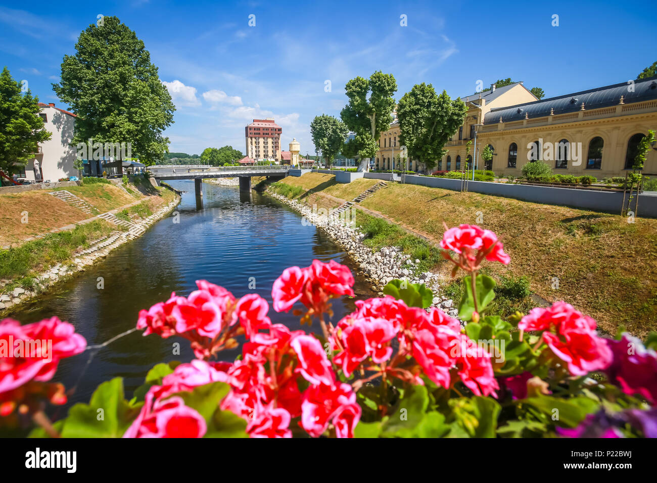View of flowers on the bridge and pedestrian bridge across river Vuka in Vukovar, Croatia. Stock Photo