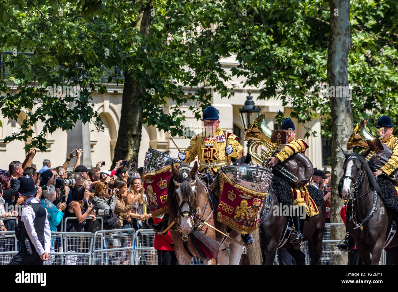 A drum horse of the Household Cavalry Band walking along The Mall at The Trooping The Colour or The  Queens Birthday Parade, London, UK , 2018 Stock Photo
