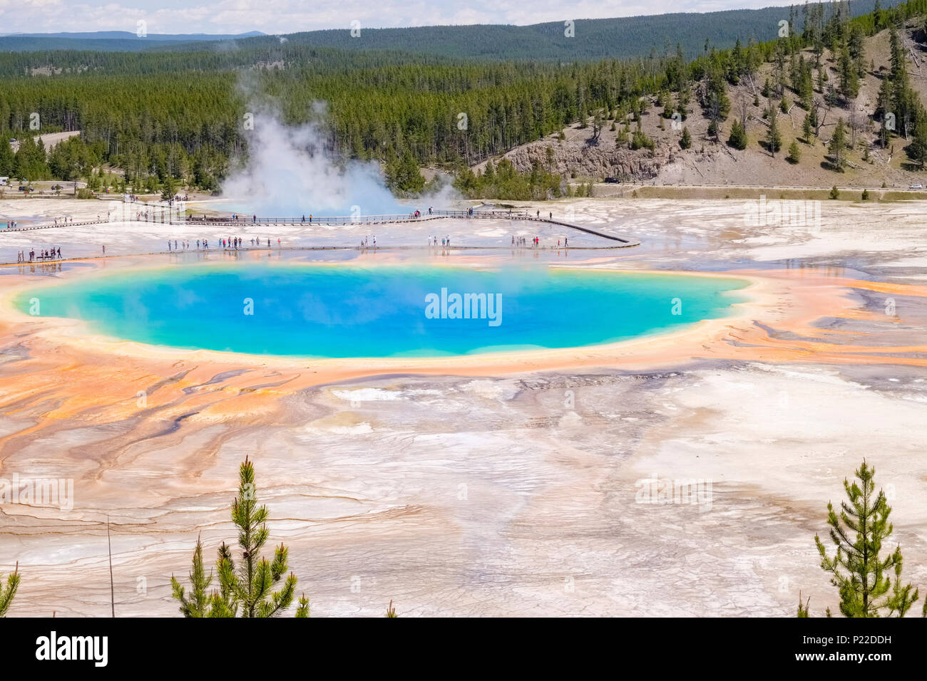Overlook view of the blue Grand Prismatic Spring with multicolored surroundings at Yellowstone National Park Stock Photo