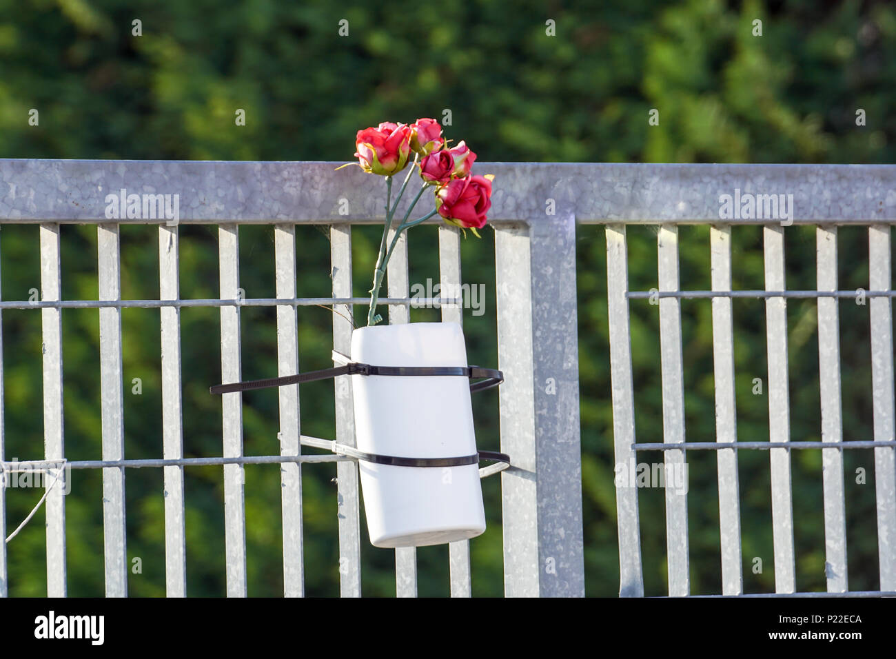 Dead rose flower hi-res stock photography and images - Alamy